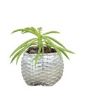 Mini Çiçek Saksı Küçük Sukulent Gümüş Kaktüs Saksısı Sepet Örgü Saksı Model